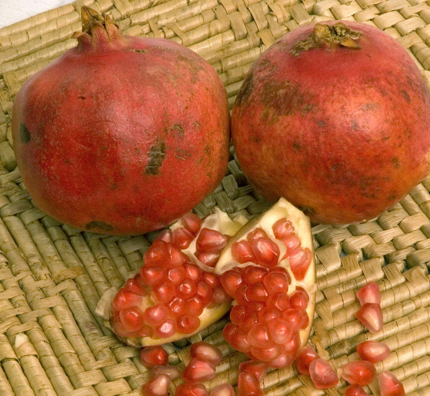 Pomegranate - Pink Satin - PRE-ORDER