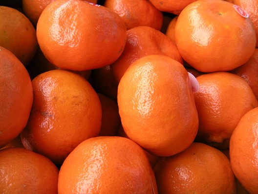 Citrus - Mandarin - Daisy