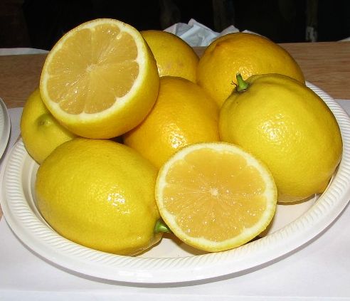Citrus - Lemon - Eureka