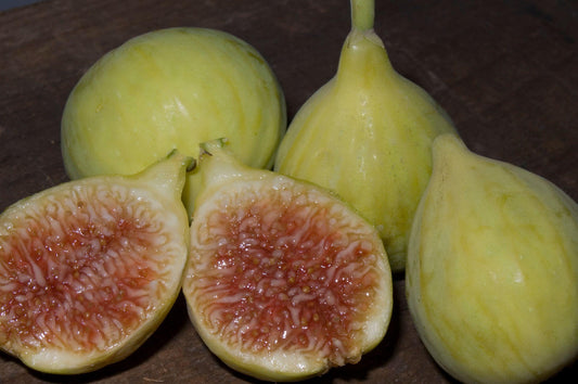 Figs - Excel