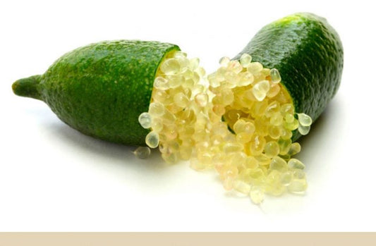 Citrus - Lime - Australian Finger Lime