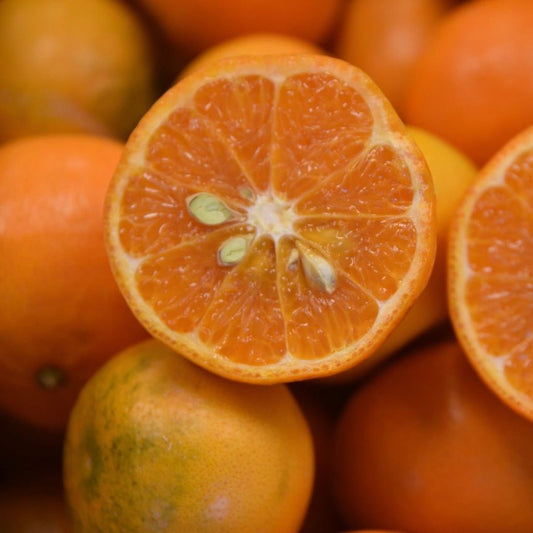 Citrus - Mandarin - Kinnow