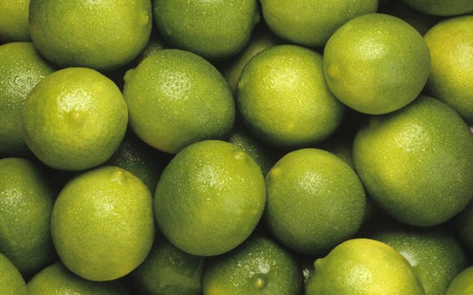 Citrus - Lime - Bearss