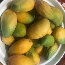Tropical - Mango