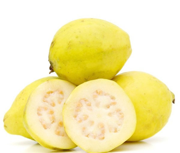 Tropical - Guava