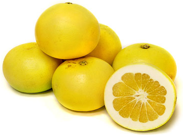 Citrus - Grapefruit - Oro Blanco