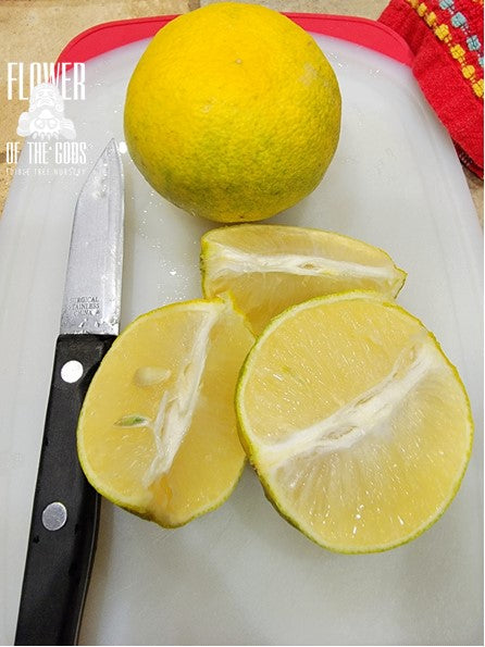 Citrus - Lime - Palestine Sweet
