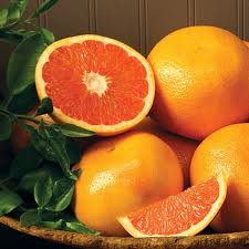 Citrus - Grapefruit - Rio Red