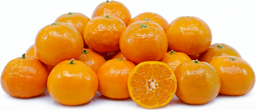 Citrus - Mandarin - Tango
