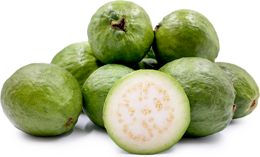 Tropical - Guava