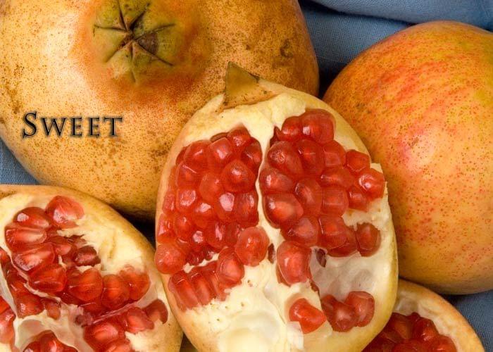Pomegranate - AC Sweet